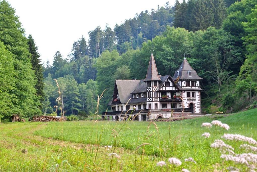 Le Saint Moulin De La Petite Pierre Villa Lohr Eksteriør bilde